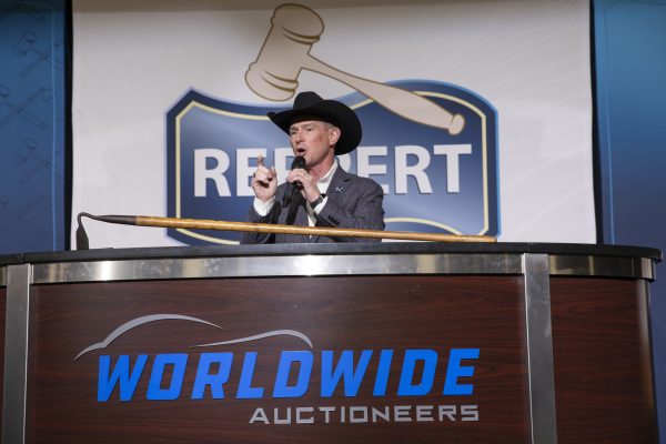 8N1A0895-Enhanced-NR 8N1A0895-Enhanced-NR